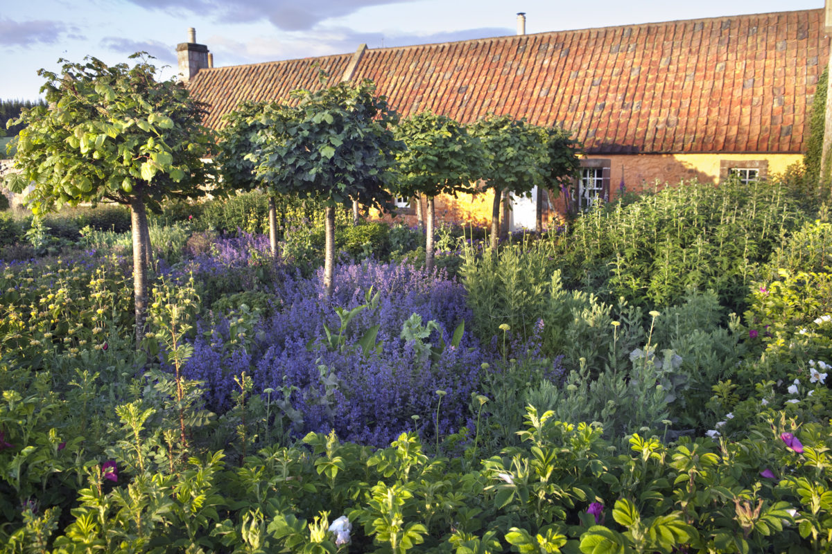 Broadwoodside The Hall Garden Photo Andrea Jones