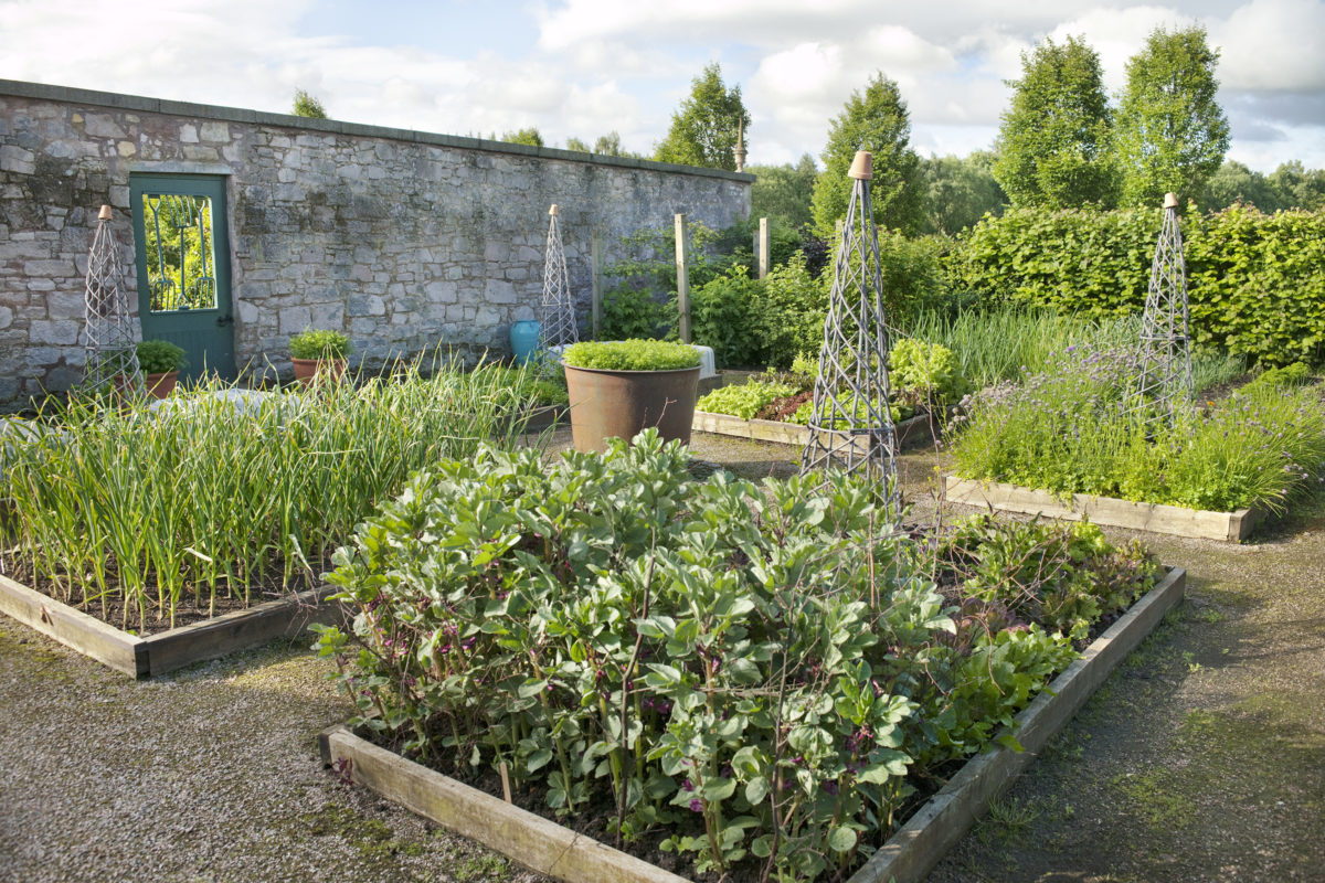 Broadwoodside The Kitchen Garden Photo Andrea Jones